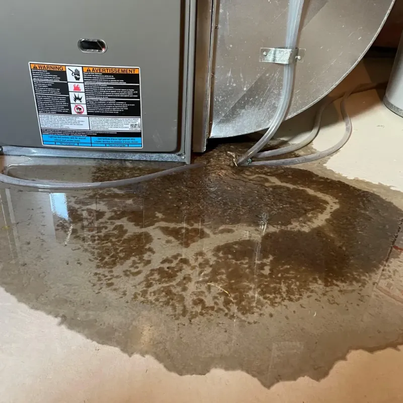 Appliance Leak Cleanup in Waikoloa, HI