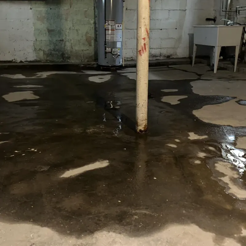 Emergency Water Extraction And Removal in Waikoloa, HI